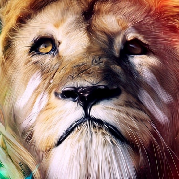 Meet your Posher, Harry - Picture 1 of 1